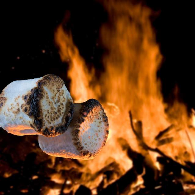 Fire Pit Fridays at Walnut Springs Winery