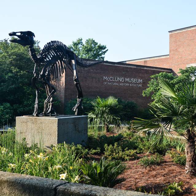 McClung Museum of Natural History & Culture
