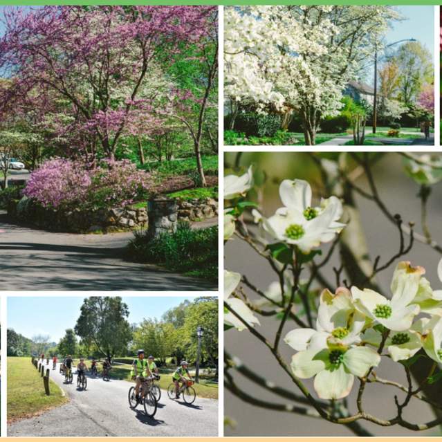 Dogwood Driving Trails