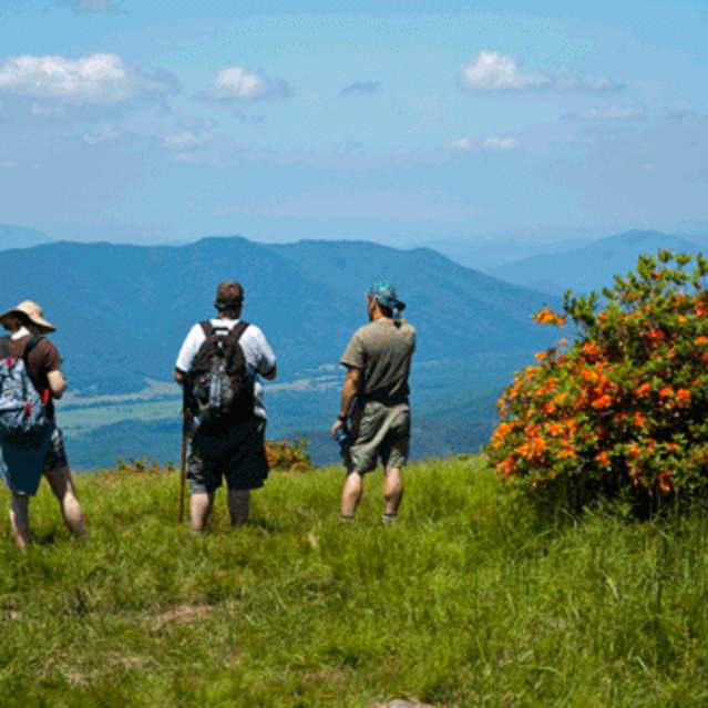 Great Smoky Mountains National Park
