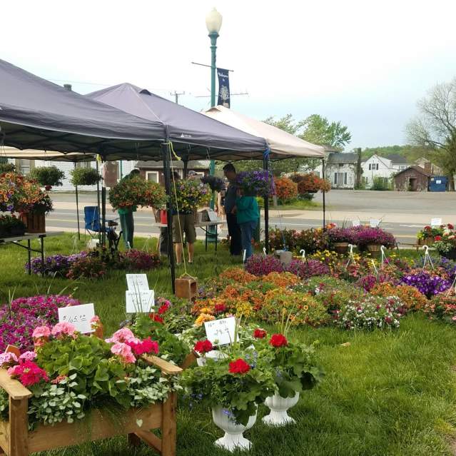 Town of Haymarket Farmers Market