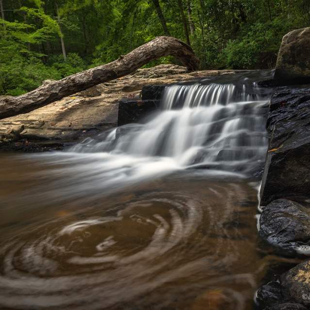 Prince William Forest Park