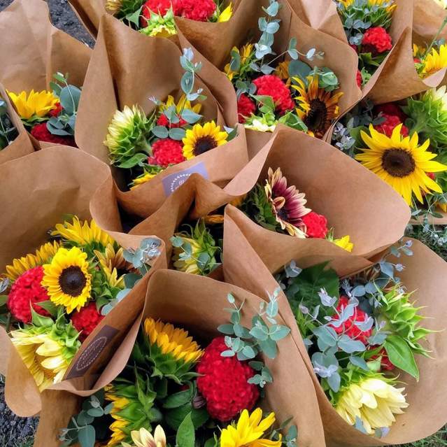 Bloom Flower Farm