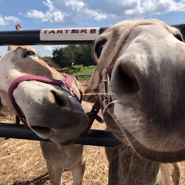Hope & Serenity Farm Sanctuary