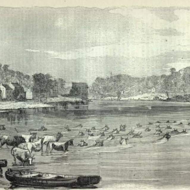 Occoquan