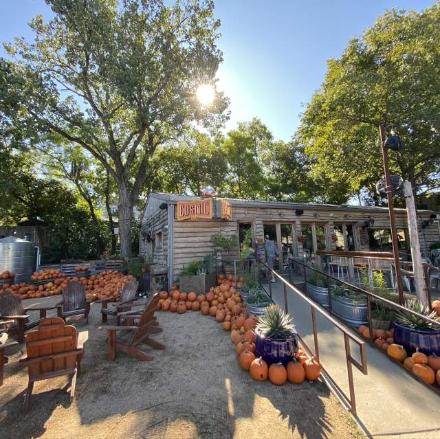 Top Things to Do in Austin This Fall
