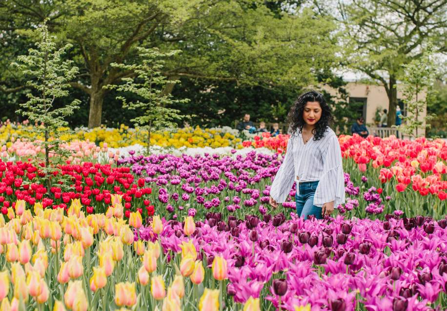 Spring at Longwood Gardens, Women walking through field of tulips