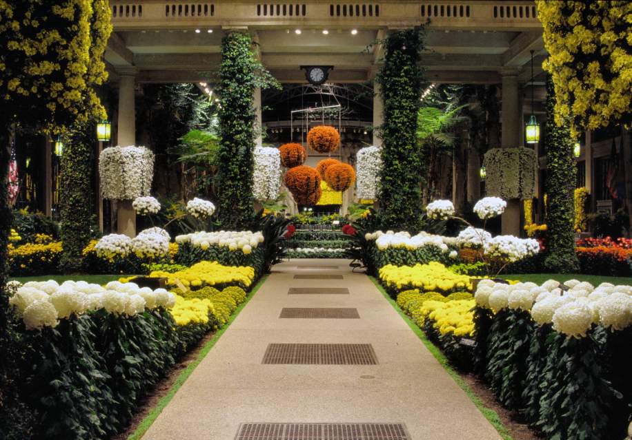 Autumn's Colors at Longwood Gardens