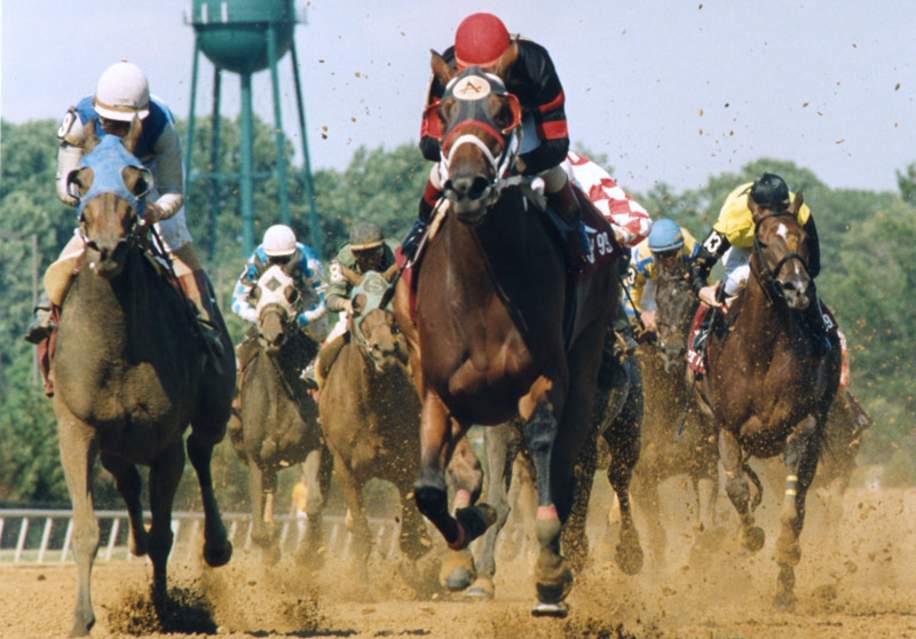 Delaware Park Casino