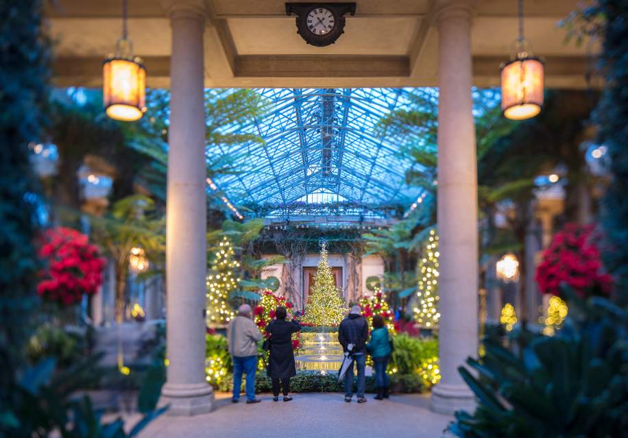 A Longwood Christmas