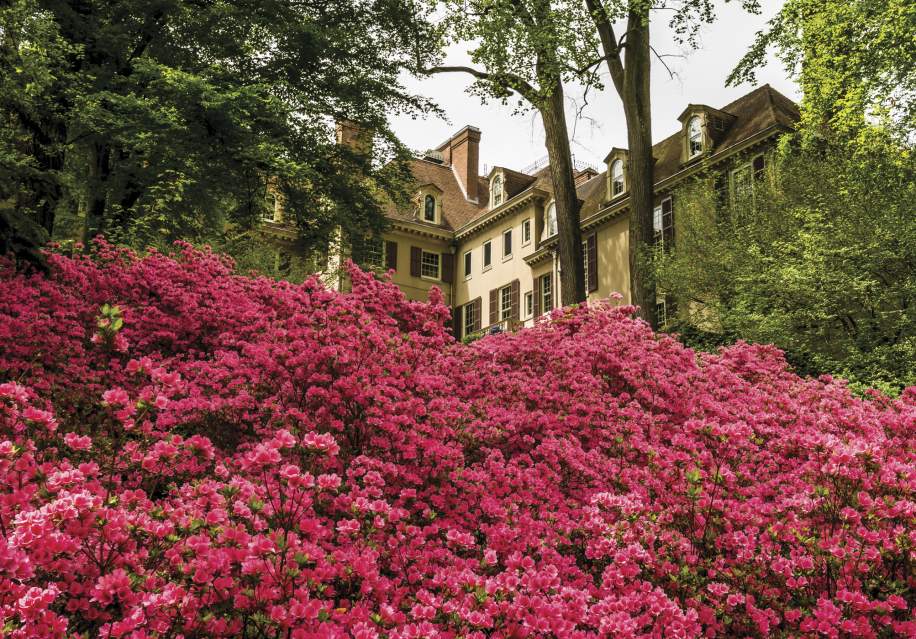 Winterthur Museum, Garden & Library