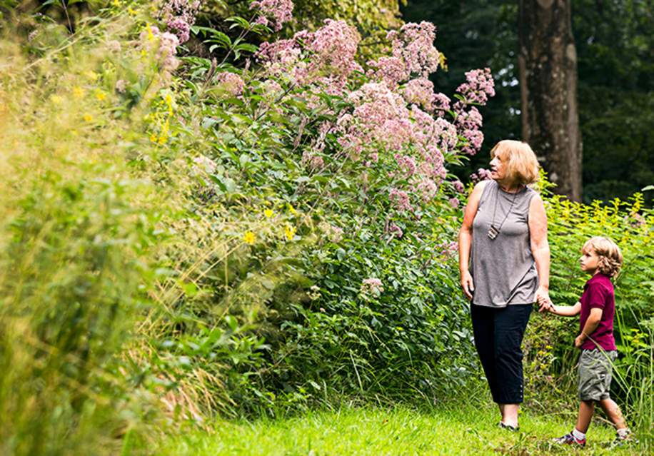 Wildflower Celebration Weekend