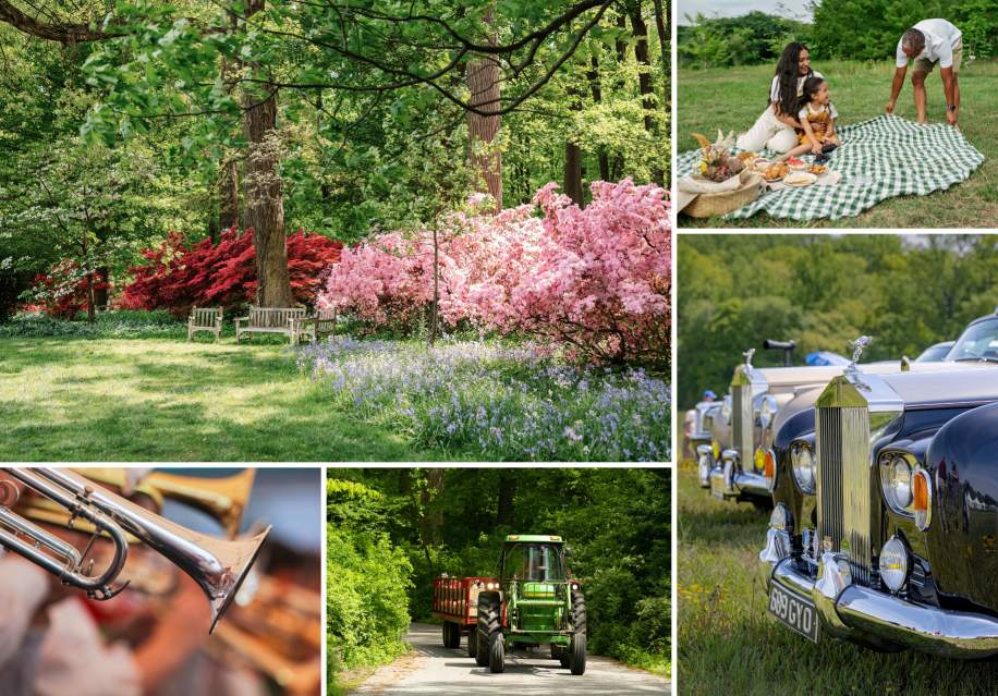 Field and Fete: Celebrating 75 Years at Winterthur