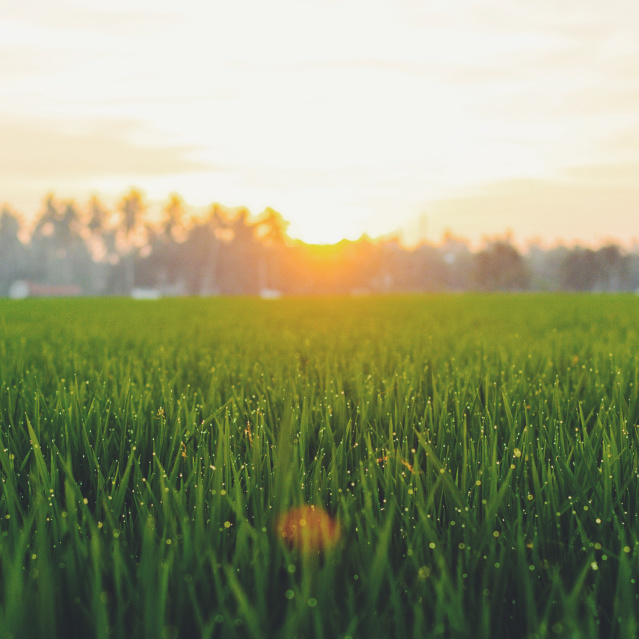 The Best Places to Watch Sunrises and Sunsets in ShelbyKY