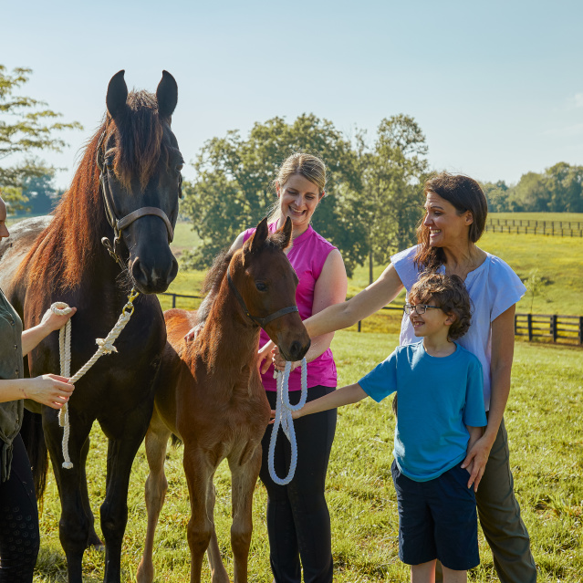 Why is ShelbyKY the Saddlebred Capital of the World?