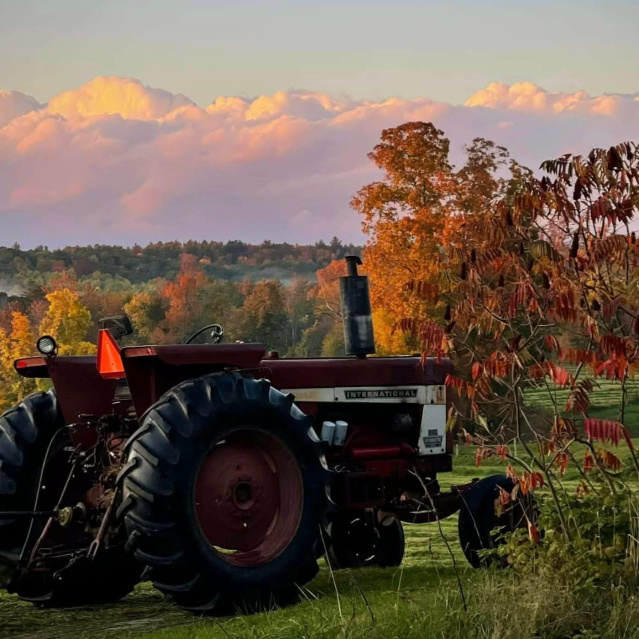 Fall Festivals & Fun in ShelbyKY