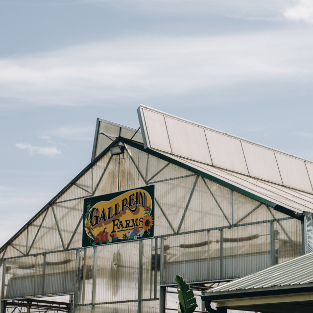 How A Family Farm Became A Must-Visit Destination In Kentucky