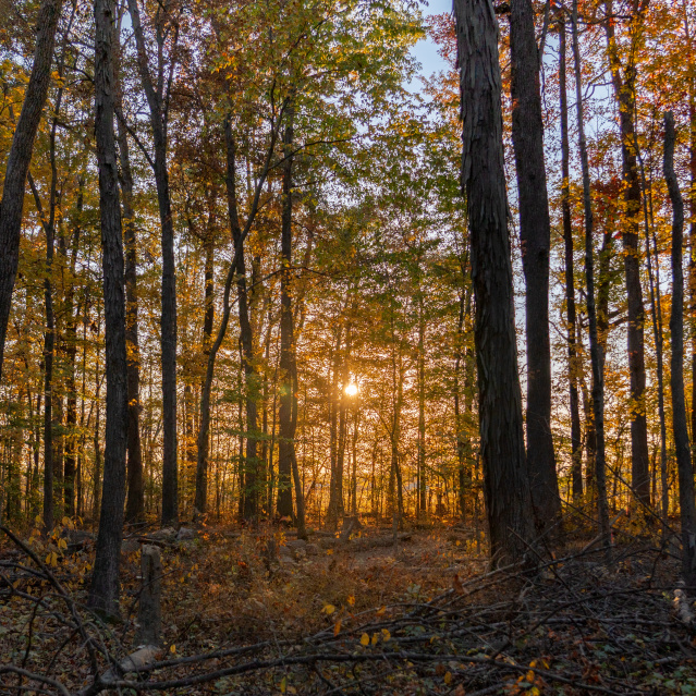 Here's What to See and Do in ShelbyKY This Fall