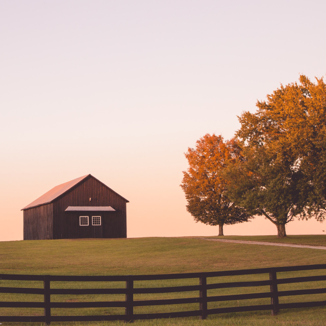 Best Time To See Fall Foliage in ShelbyKY
