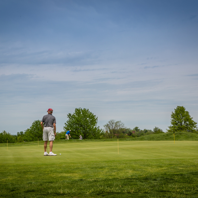Beyond the Greens: Exploring Shelby County Parks