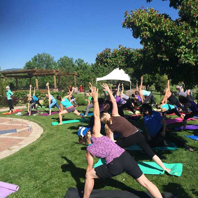Yoga Pod Fort Collins Events - 1 Upcoming Activities and Tickets