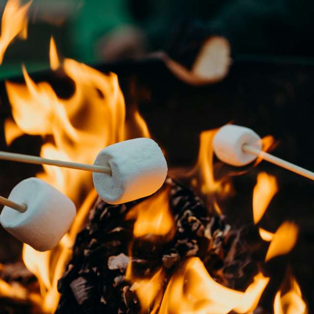 Smores Camping Unsplash