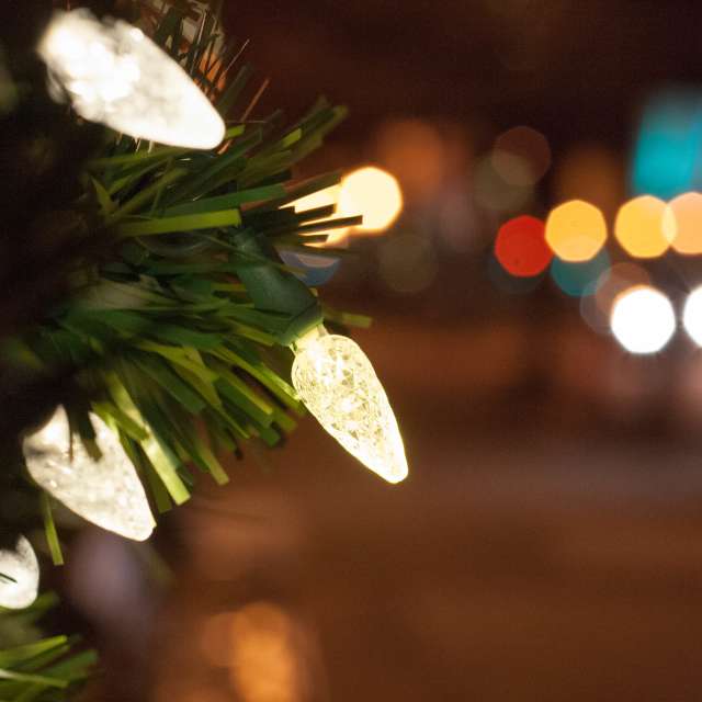 Christmas tree lights Downtown Carlisle