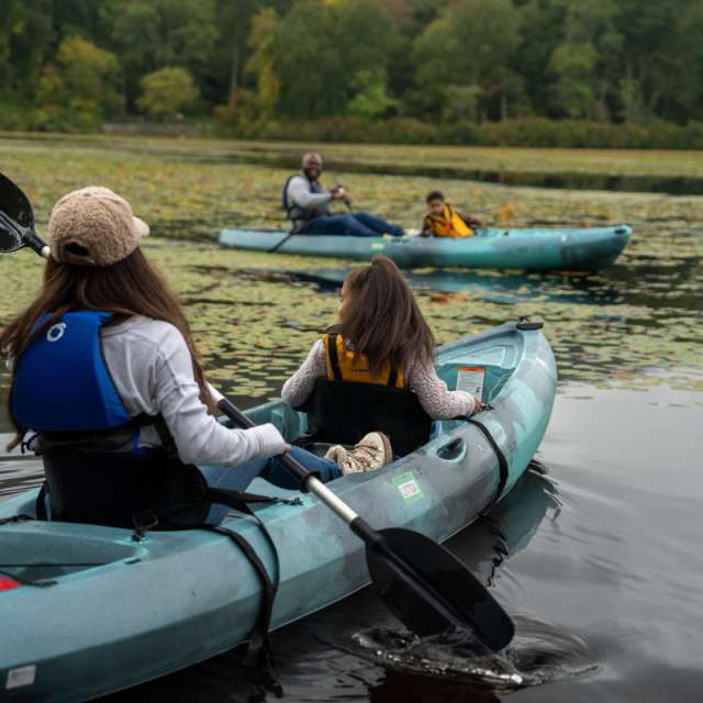 Laurel Lake-47