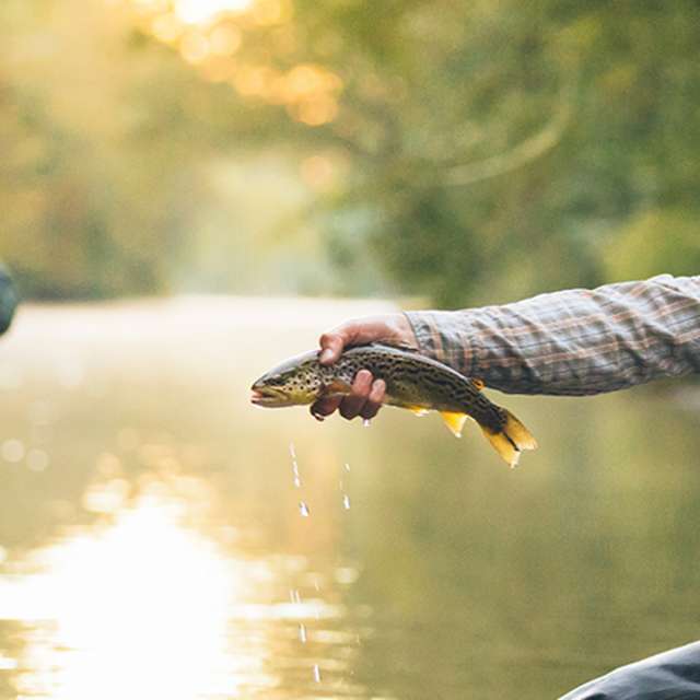 Man Holding Up Caught Fish With Friend in Background in Cumberland Valley