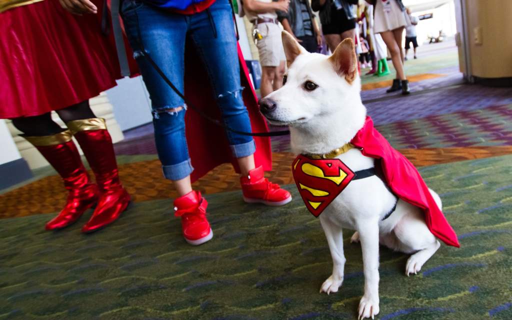 Terrific Trio: MEGACON, Superheroic Attractions & Comic Book Shops