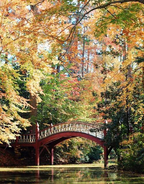 A Romantic Fall Getaway in Williamsburg