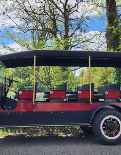 Battlefield 1 hour Steamer Wagon Tour