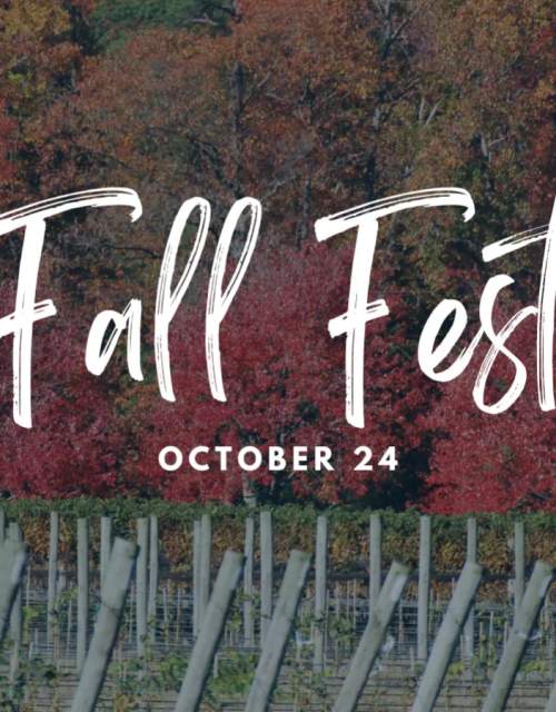 Fall Fest at the Vineyard