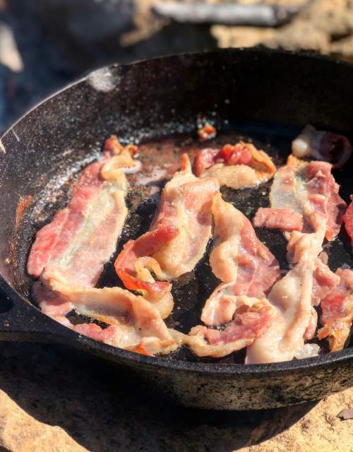 History of Bacon in 19th Century Virginia