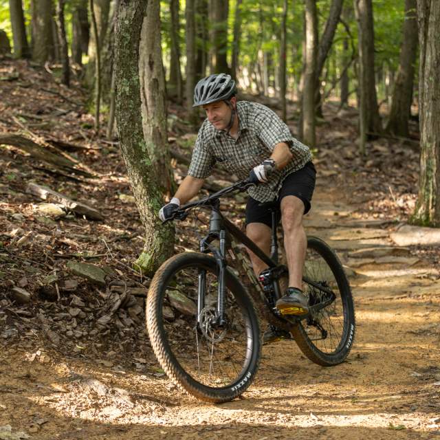 Dans Mountain State Park Mountain Biking - Lonaconing MD