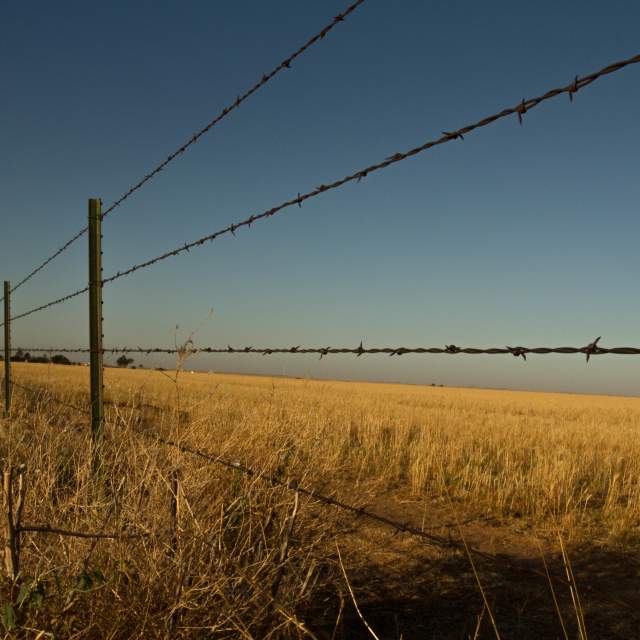 Barbed Wire