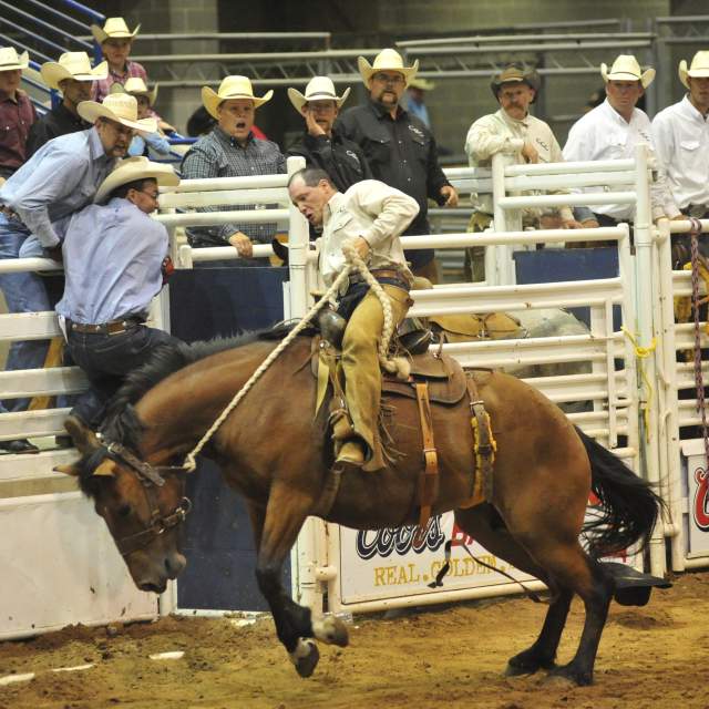 cowboy on bucking horse at the coors cowboy club ranch rodeo