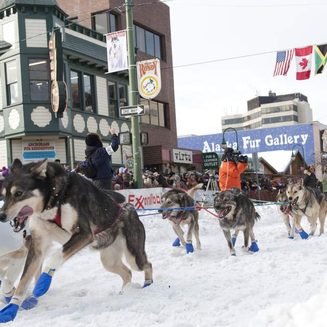 Guide to Winter Activities in Anchorage, Alaska