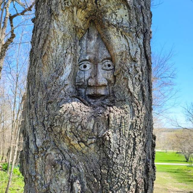 Johnson's Mound Forest Preserve