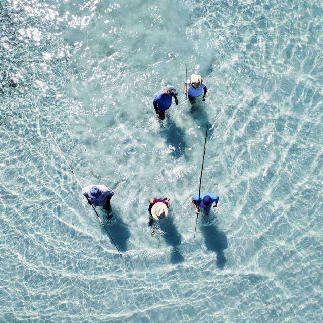 Image taken from above, of a group of 4 tour guests alongside their guide, Bundy. The group is walking through crystal clear blue waters, carrying fishing spears.