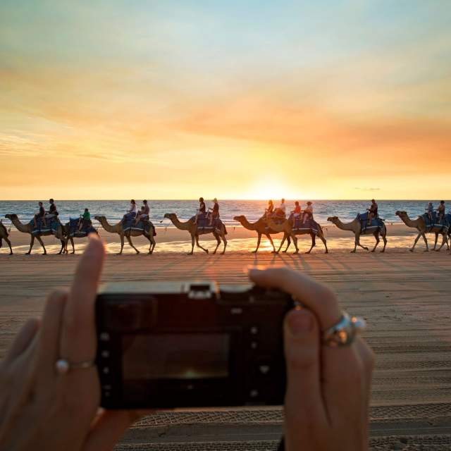 Shot from the photographers point of view, we see hands holding a camera pointed at a sunset camel ride in Broome, Western Australia