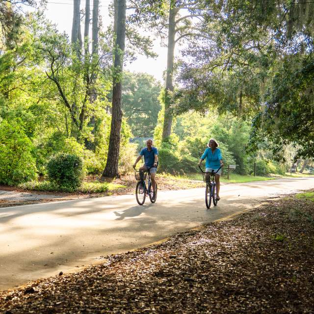 Biking 2
