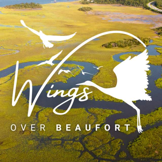 Wings Over Beaufort