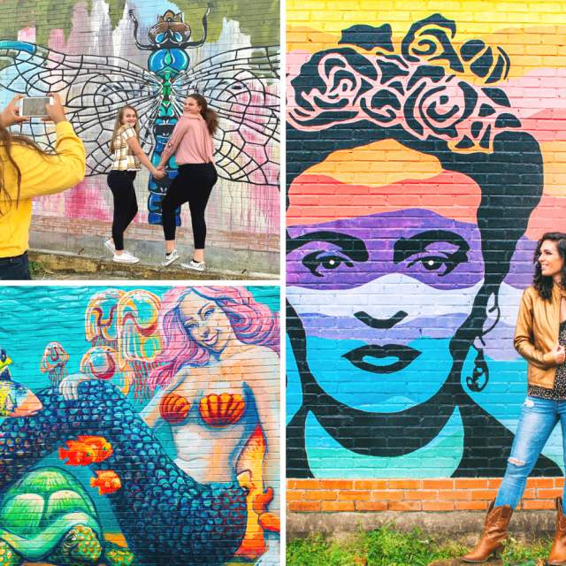 Fannin Murals