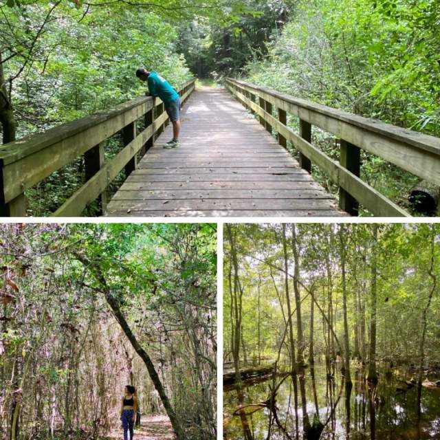 Kirby Nature Trail