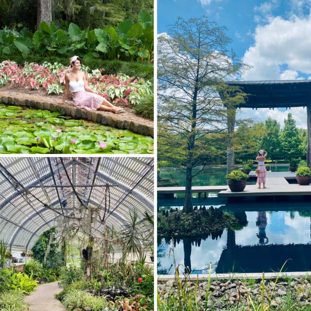 Shangri La Botanical Garden