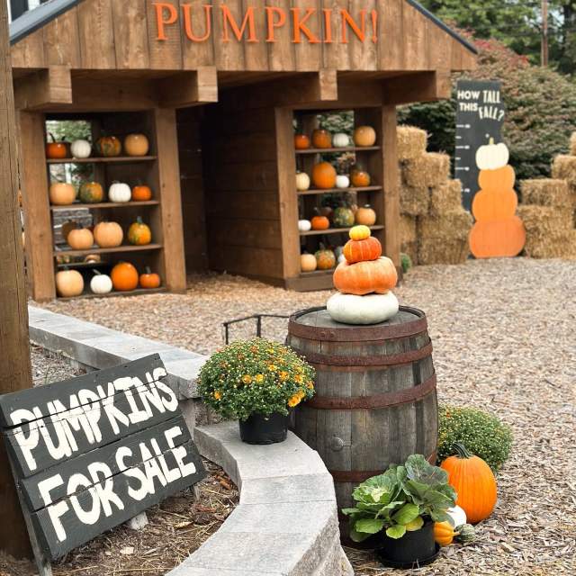 Pumpkin Patch Bedford County