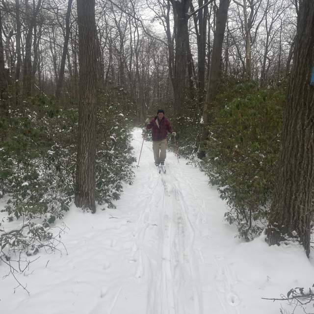 Cross Country Skiing