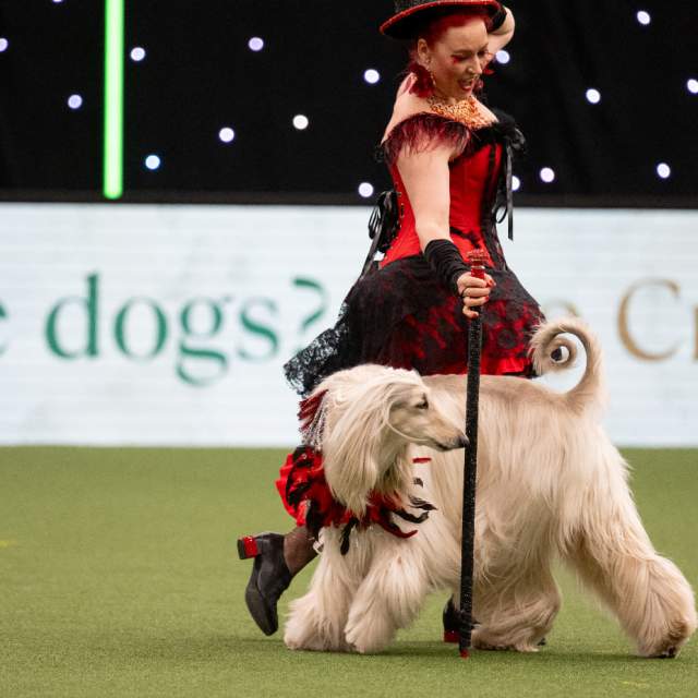 Crufts