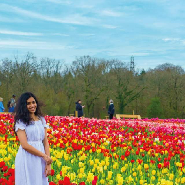 Tulley's Tulip Garden